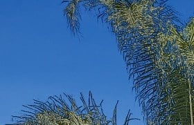 El Paseo_Apartments_Tustin_CA_EntranceWaterfall